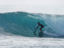 {{brizy_dc_image_alt imageSrc=